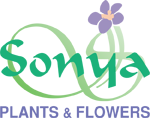 Image for  Sonya Plants and Flowers LLC