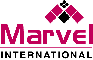 Image for Marvel International Technical Contracting LLC Image for Marvel International Technical Contracting LLC