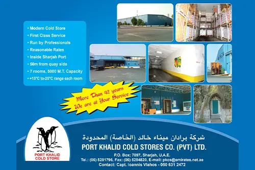cold-storage-frozen-food.webp