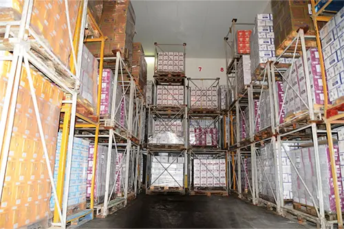 frozen-food-storage-and-cold-storage.webp