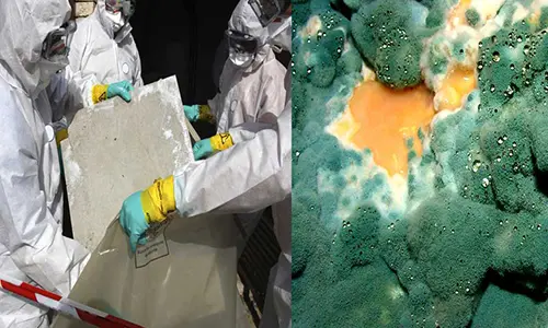 industrial-hygiene