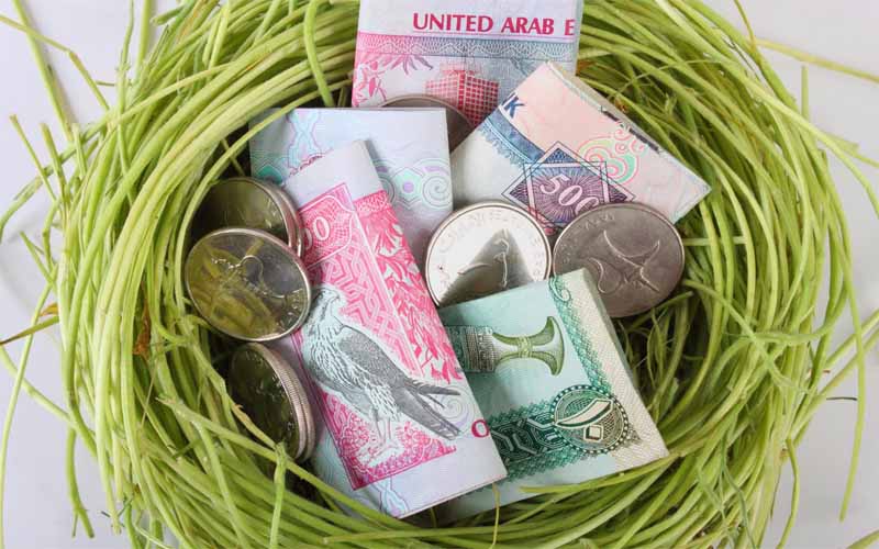 Accountants-and-Auditors