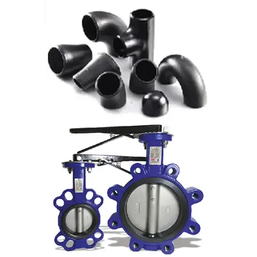 butterfly-valves-and-cs-buttweld-fitting.webp