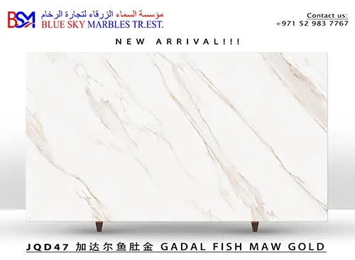 jqd47-gadal-fish-maw-gold.webp