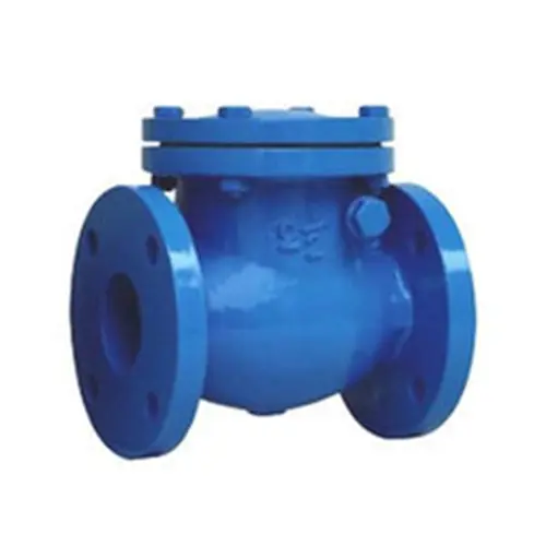 cast-iron-swing-check-valve