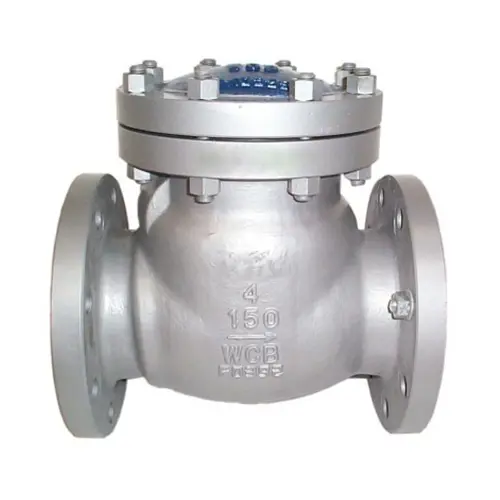 industrial-swing-check-valve-and-pipe-fittings
