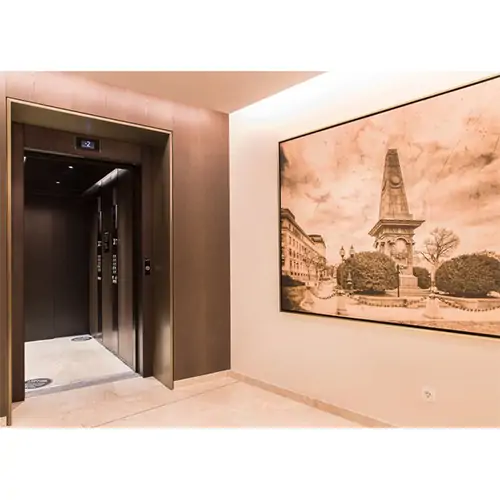 delmon-elevation-lifts-installation-llc-4.webp