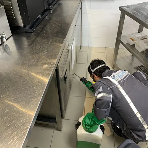 restaurant-pest-control-services-dubai-abu-dhabi.webp
