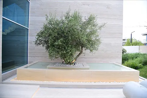 fountain-construction.webp