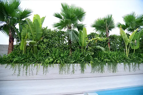 green-walls.webp