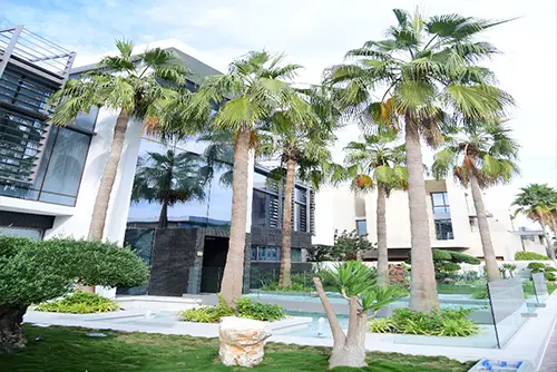 landscaping.webp