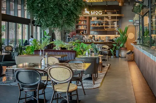 coffee-shop-interiors.webp