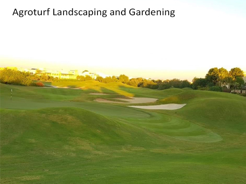 Golf-Course-Landscaping