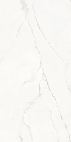 503-circa.webp