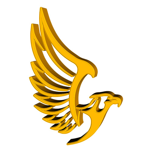 falcon-team-international-in-abu-dhabi