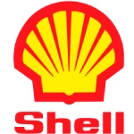 shell.webp