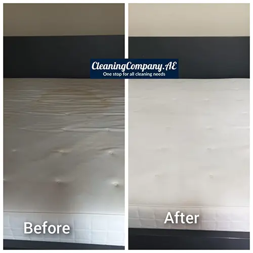 sofa-and-mattress-cleaning.webp