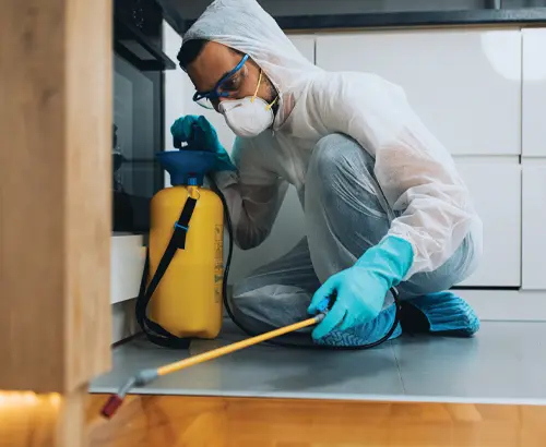 general-pest-control