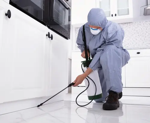 marble-pest-control