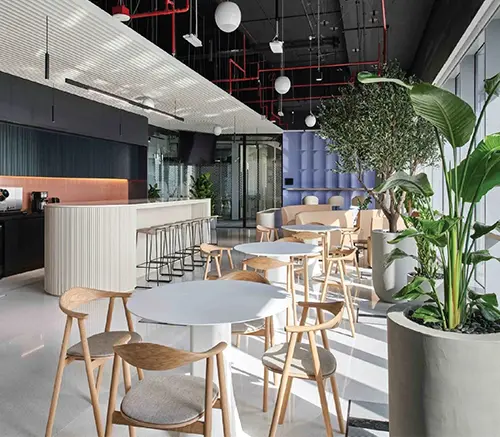 building-materials-and-acoustic-ceiling-panels