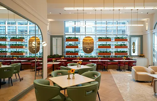 fitout-contractors-and-interiors