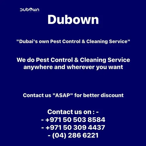 pest-control-and-cleaning-service.webp