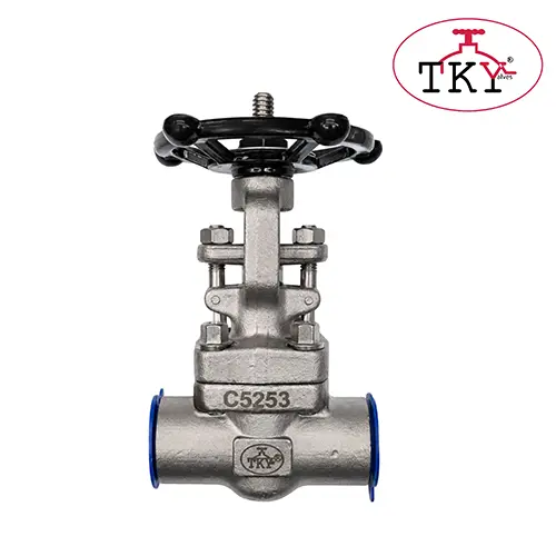 forged-steel-gate-valve