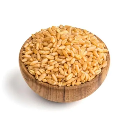 wheat.webp