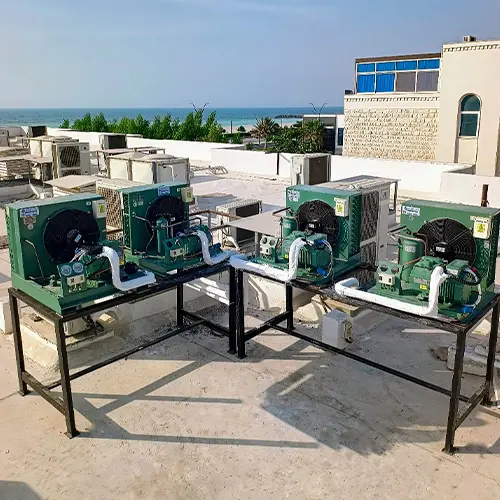 industrial-refrigeration-cold-chain-systems.webp