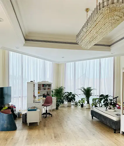 blinds-and-curtains