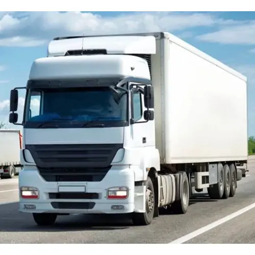 multyline-express-cargo-4.webp