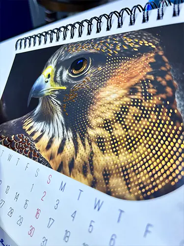 calendar-printing.webp