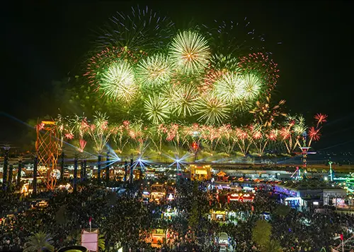 fireworks-suppliers.webp
