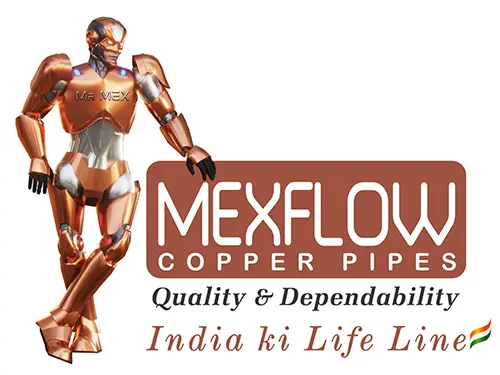 mexflow-logo.webp