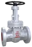 Gate Valve Class 600 Bolted Bonnet UAE