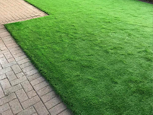 artificial grass in uae
