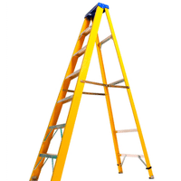 Double Sided A-Frame Ladder