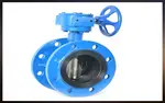FGV Double flanged centric butterfly valve in the UAE