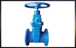 FGV Resilient Seated Gate Valve in the UAE