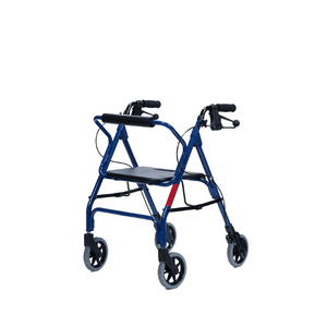 Mobility Solution Walker