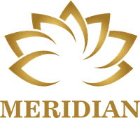 Logo for  Meridian PF General Trading LLC - Sauces Suppliers in UAE